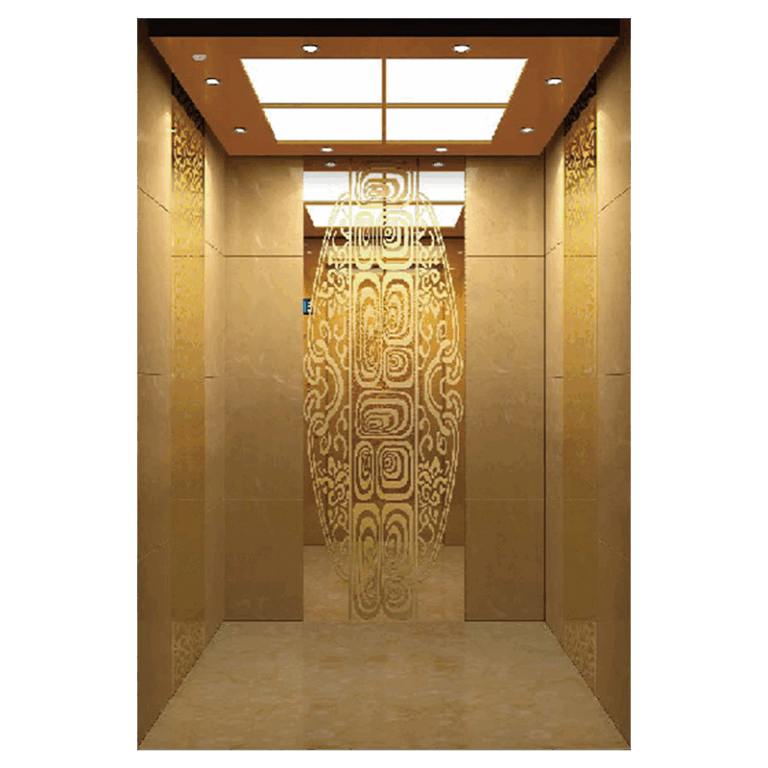 Branded Passenger elevator installation service