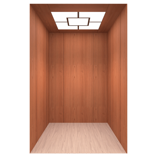 Branded Passenger elevator installation service