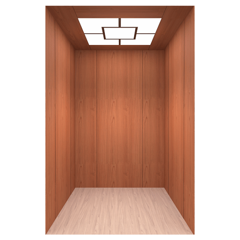 Branded Passenger elevator installation service