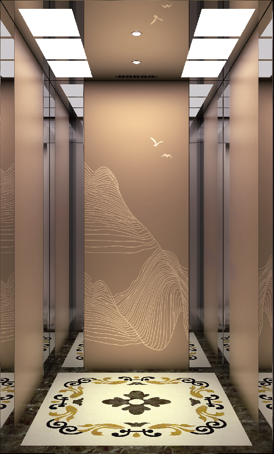 Villa Elevator